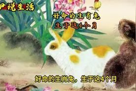 好命生肖兔专属！出生在这4个月，一生福气与年龄齐飞视频封面