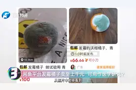 闲鱼平台发霉橘子卖至上千元 可用作医学研究？