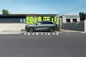 魏牌蓝山智驾版发布：冰箱、彩电、大沙发齐全！无图NOA终身免费视频封面