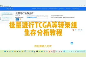 批量进行TCGA等转录组生存分析教程