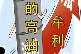 中国的油价，到底牟利了谁 #油价 #油价调整  #油价上涨视频封面