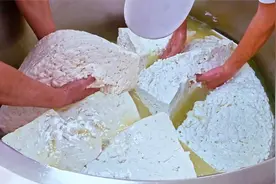 马苏里拉奶酪的制作方法，台湾手工奶酪制作，小白一看就会！