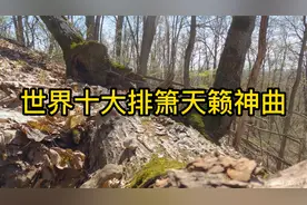 世界十大排箫天籁神曲，洗涤心灵之音，好听至极歌曲，赶紧收藏吧