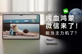 纯血鸿蒙微信来了！沉浸式体验鸿蒙的一天：真的能当主力机了？