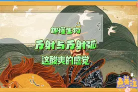 反射与反射弧图片