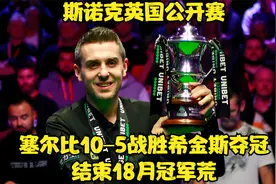 斯诺克英国公开赛：塞尔比10–5战胜希金斯夺冠，结束18月冠军荒视频封面