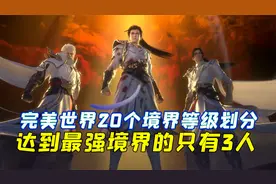 完美世界一共有着20个境界等级划分，达到最强境界的仅仅只有三人