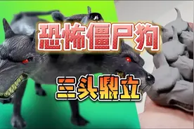 恐怖僵尸狗，三头鼎立