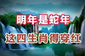 明年是蛇年，老人说“青蛇双春闰六月，四个生肖要穿红视频封面