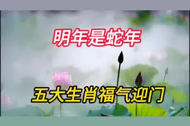 明年是蛇年，五大生肖福气迎门，机遇暗藏未来七年鸿运不断