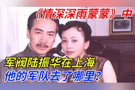 《情深深雨蒙蒙》中：军阀陆振华在上海：他的军队去了哪里？视频封面