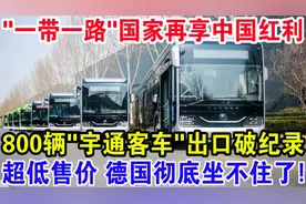 "一带一路"国家再享中国红利，800辆"宇通客车”出口破纪录！