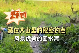 藏在大山里的河流汇入口，这神仙钓位不容错过#原来钓鱼才是抖音运动顶流  #老坛甜薯  #钓鱼王地狱猫 