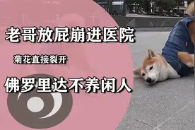 佛罗里达不养闲人！吉尼斯记录连放屁都有挑战，老哥直接崩裂了视频封面