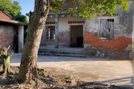 荒废了的老房子，房主让我清理出来免租10年，清理完结果舒服了视频封面