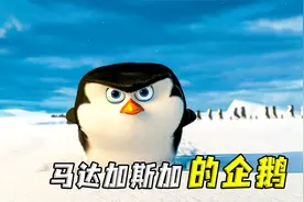 全球最大的金库，竟被四只企鹅成功入侵！视频封面