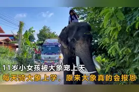 11岁小女孩被大象宠上天，每天骑大象上学，原来大象真的会报恩