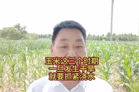 玉米这三个时期，出现干旱，要抓紧时间浇水
