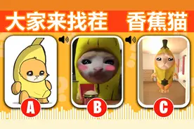 大家来找茬：听声音猜一猜香蕉猫，每一个都是出乎意料！视频封面