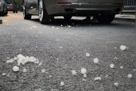 北京市六环内区域迎杨柳飞絮第二个高发期，持续至5月3日视频封面