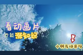 儿童安全故事——《妈妈不见了》第六集视频封面