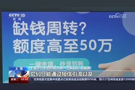 上海警方侦破高利放贷系列案 周息35%涉案金额超2.4亿视频封面