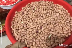 花生放柴灰和石灰种比较大又结得，你们那里是不是这样种的视频封面