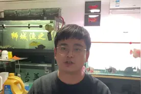 水绿其实就是小球藻的爆发，怎么形成的？又该如何解决呢？