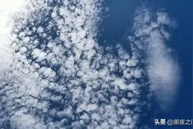 今日天降异象，母鸡飞上天了！图片