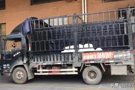 货车司机:4米2轻卡高栏车跟平板的区别有多大，装货见分晓。