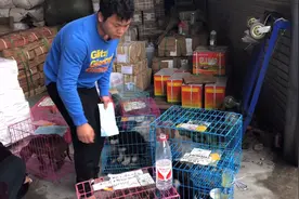 网上购买的宠物，看看是如何送到我们身边的？视频封面
