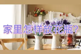 家里怎样放花瓶？视频封面