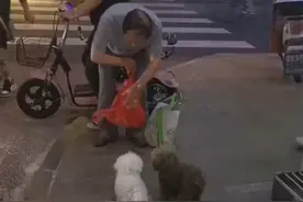 #当你把猫咪给奶奶养之后#
养狗迷惑事：为什么爷爷奶奶养的狗都这么乖巧听话[酸]视频封面