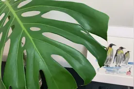 手工自制｜国画装裱边框 相框DIY视频封面