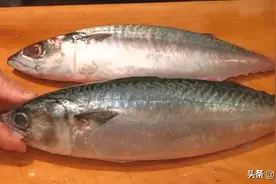 【日本刀工系列】鲭鱼刺身 生鱼片制作流程