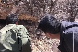 冬天捉蝎子几十只，几十年都没捉到过，看看老黑他们是怎么做到的视频封面