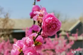 燕郊附近还有这么好玩的地方，太漂亮了！图片