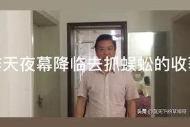 四、五月份是湖北丘陵地带捉蜈蚣的季节，看看我们的收获