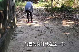 谁丢失过戒指之类的饰品，告诉我你是怎么找到的，有特别的方法吗