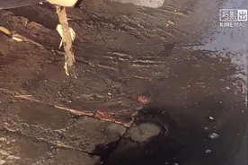 汽车排气管里有水声，参照网上的方法看看管用吗，大家看怎么回事视频封面