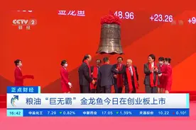 #巨无霸金龙鱼游进A股#【独家采访！总裁穆彦魁视频封面