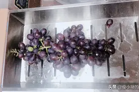 震惊了！原来葡萄里有这么多的农药和虫卵，光用盐水洗有用么？视频封面