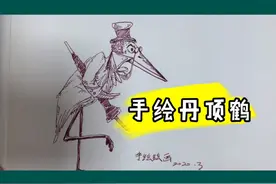 简笔画动物教程 不用涂颜色的丹顶鹤，帅呆了