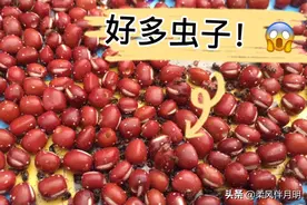 家里的豆子长虫了别急着扔，看农村人这么处理，杀虫干净又安全视频封面