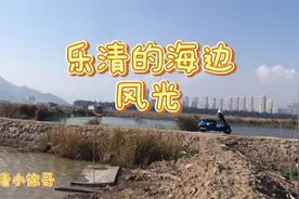 小哥来到浙江乐清湾！发现乐清的海景风光和别个海景大不一样视频封面