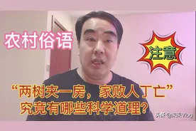 农村俗语“两树夹一房，家败人丁亡”看似普通，实则大有道理视频封面