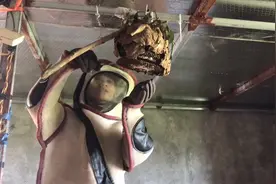 野外收回来的马蜂，把它挂养看看能长多大视频封面