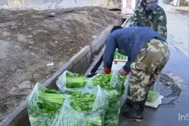 买回家的蔬菜要认真清洗