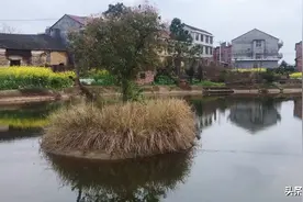 家里没电子秤，想称体重怎么办？爸妈想出的这法子也太搞笑了吧！