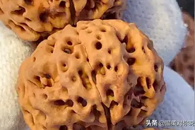 教大家一个如何分辨金刚菩提是不是泡药的小妙招视频封面